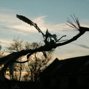 Minolta DSC Minolta DSC