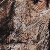 25-04-2018 25-04-2018