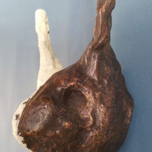 20200921_125137 20200921_125137