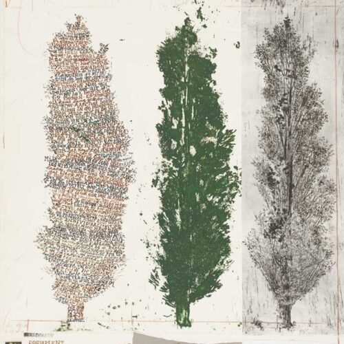 nut-genoegen-3bomen-wim-vonk nut-genoegen-3bomen-wim-vonk